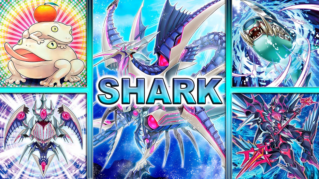 Shark Deck 2024 | Post Rage of the Abyss [EDOPRO] Replays + Decklist
