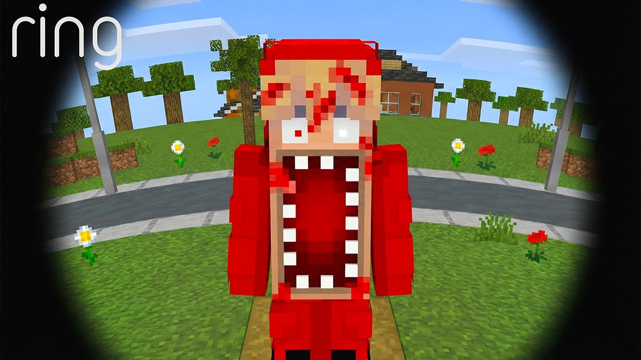 Jag Skaffade en Dörrkamera i Minecraft...
