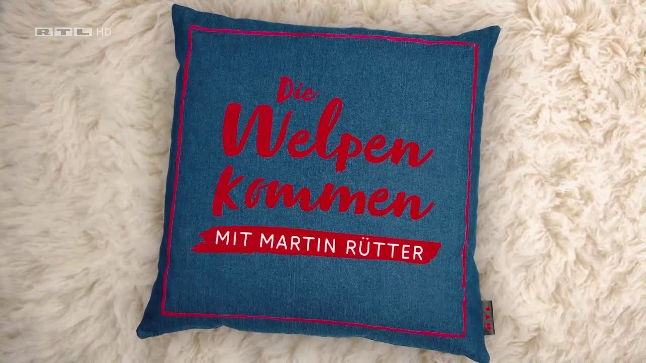 Die Welpen kommen mit Martin R&uuml;tter Vorschau f&uuml;r den 10.01.2021 (RTL)