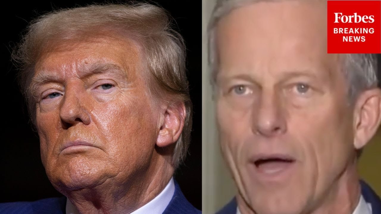 Thune Asked If He Agrees With Trump's Proposal For Elections To Be Nationalized