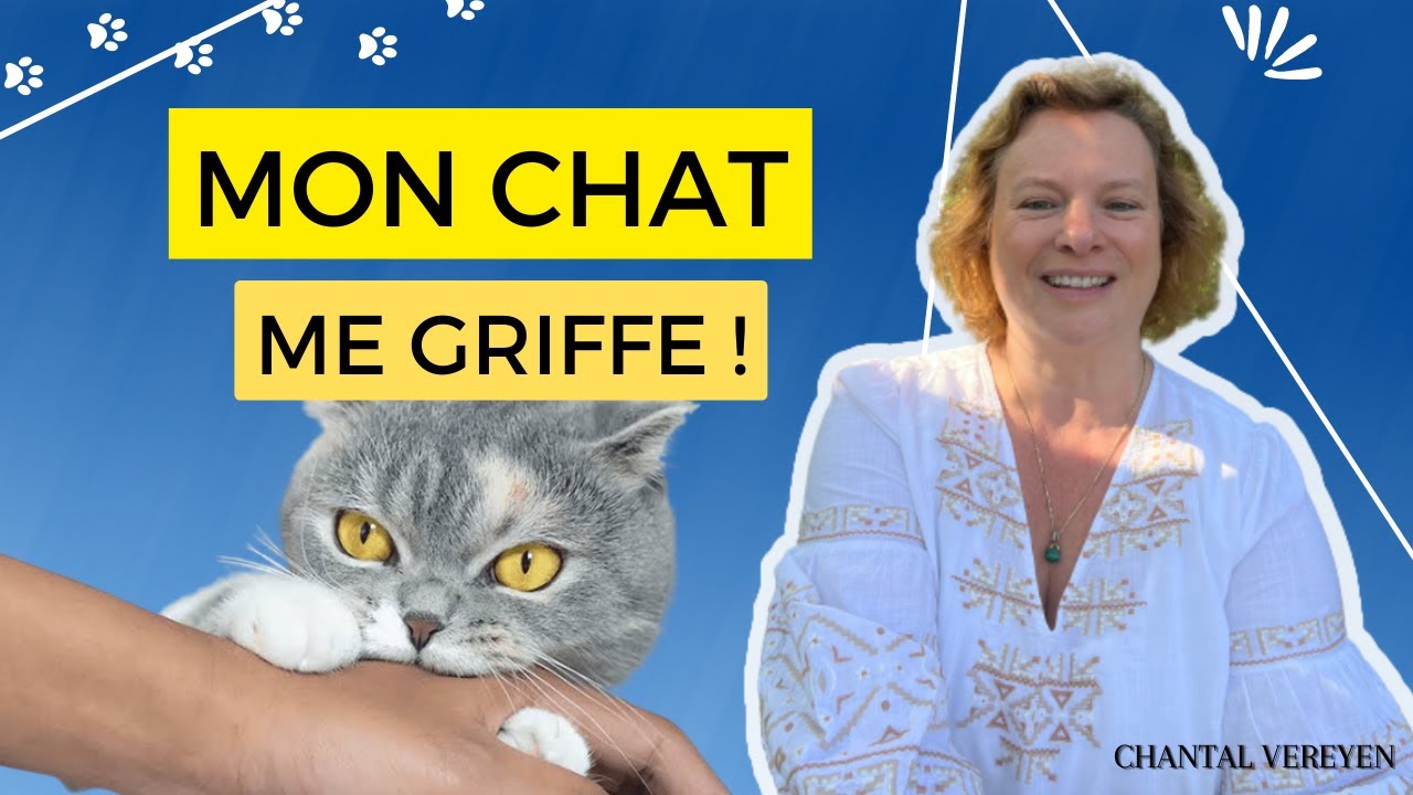 Pourquoi mon chat me griffe-t-il ?