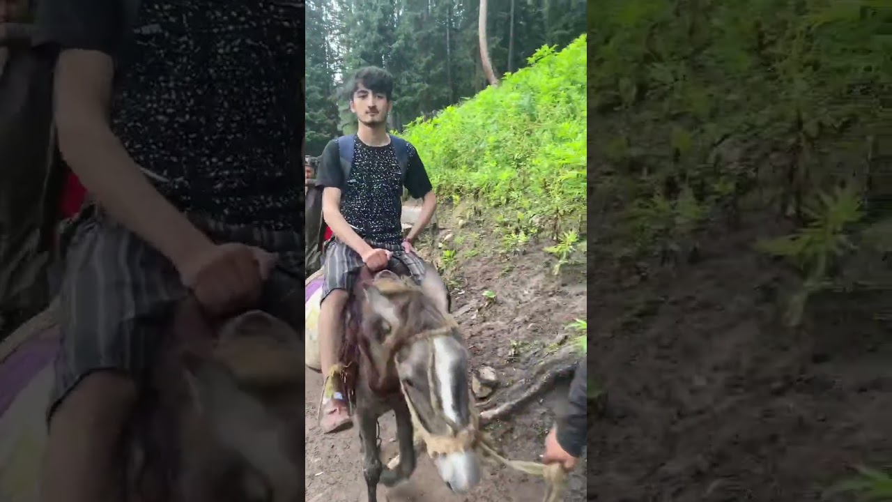 vlog coming soon kumrat valley and jahaz banda #travel #explore #nature #mountainlovers #viral