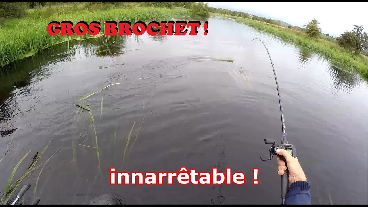 Session BROCHET en Irlande : jour 5