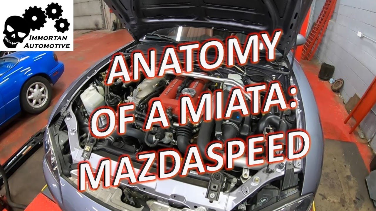 Anatomy of a Miata: Mazdaspeed