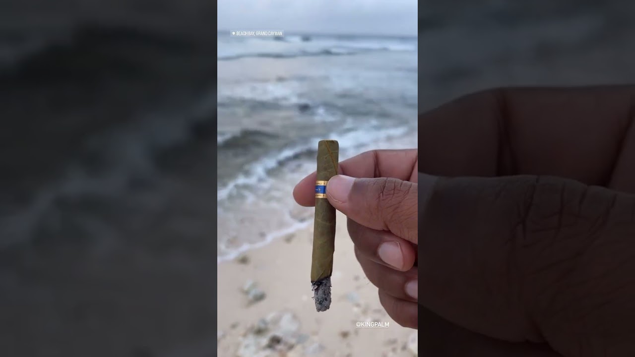 Smooth grind, perfect pack. King Palm&rsquo;s got you covered 🌿💨