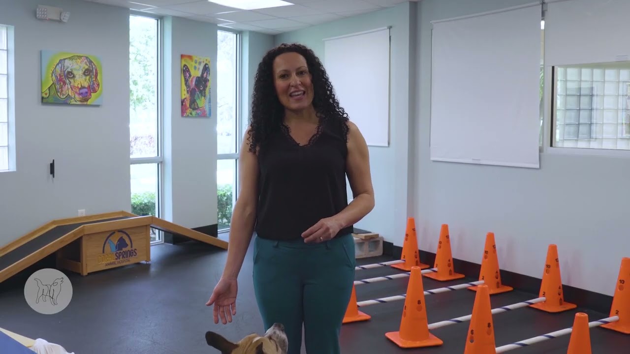 Circles: Coordination and Strength for Hind End Health
