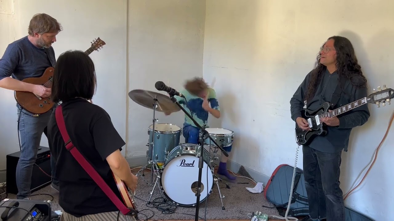 Deerhoof - Plant Thief