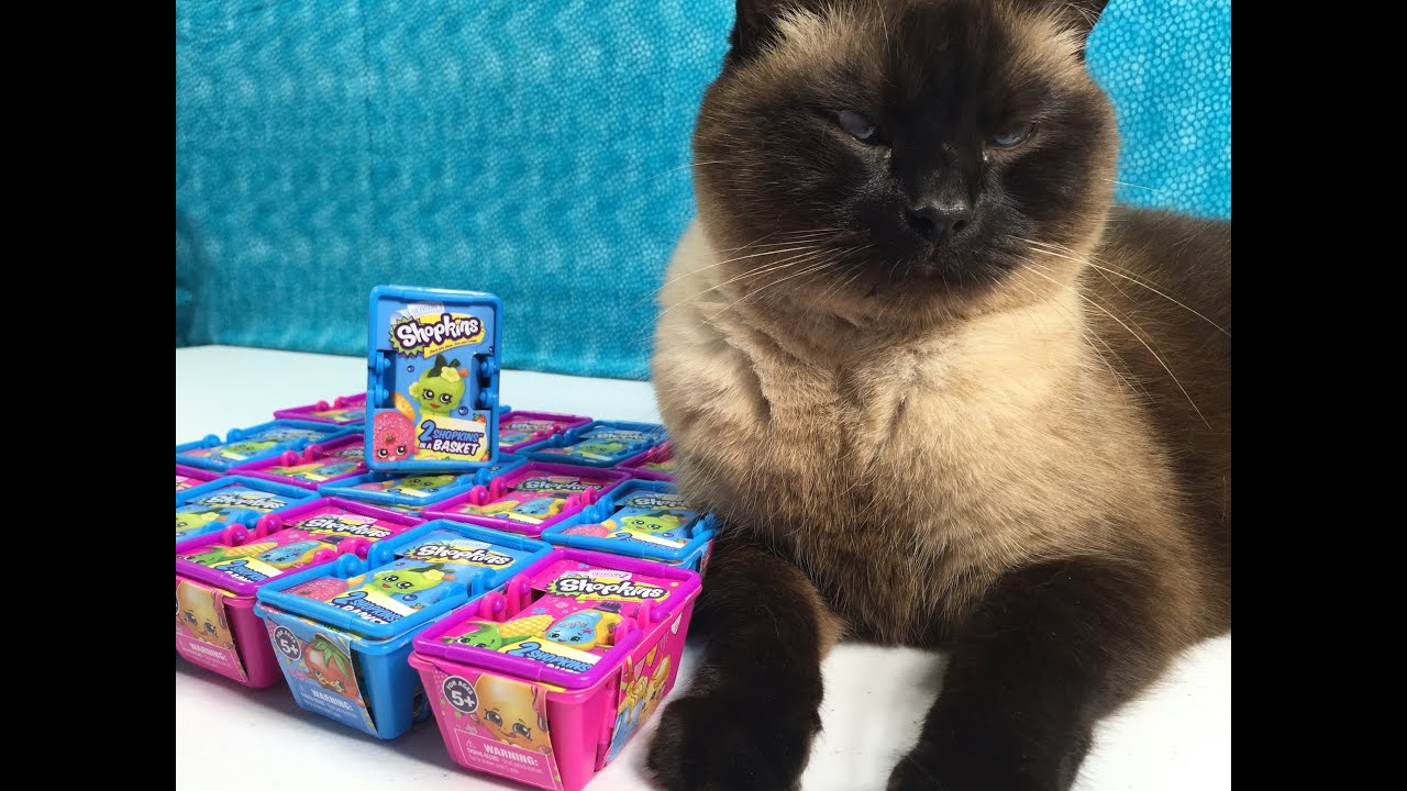 Shopkins 2 Pack Blind Baskets Season 1 & 2 Unboxing Opening With Simon