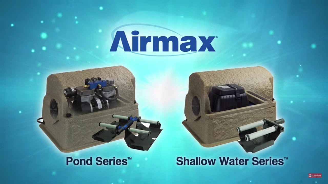 How to Remove Algae From Lakes and Large Ponds