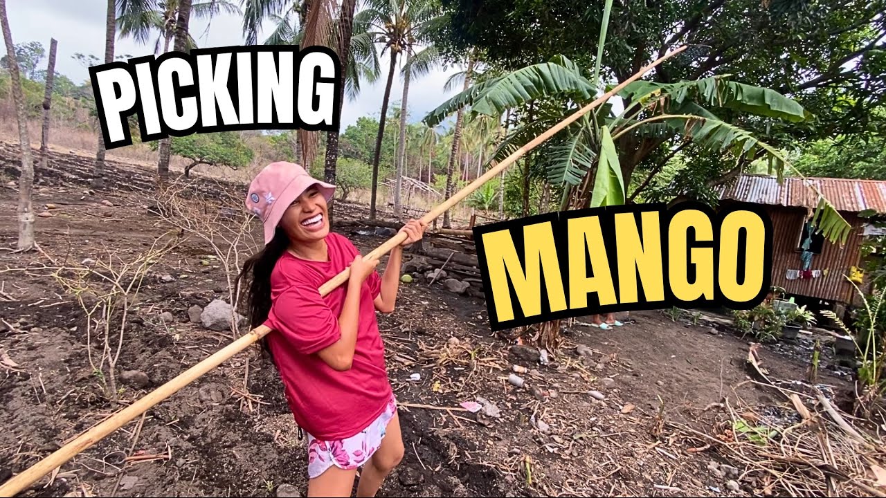Reminiscing Childhood: Picking Seasonal Fruits in the Province of Philippines