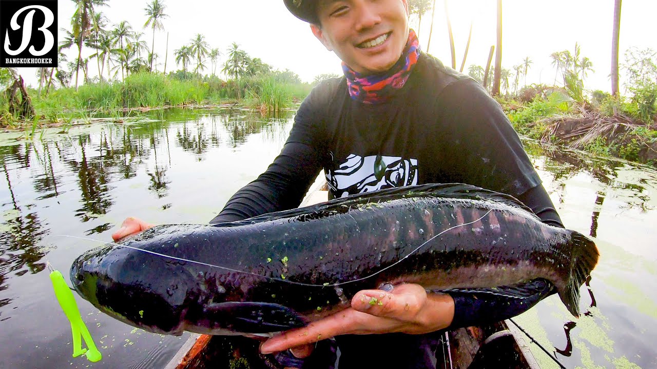 Legendary Snakehead Spot just outside Bangkok!