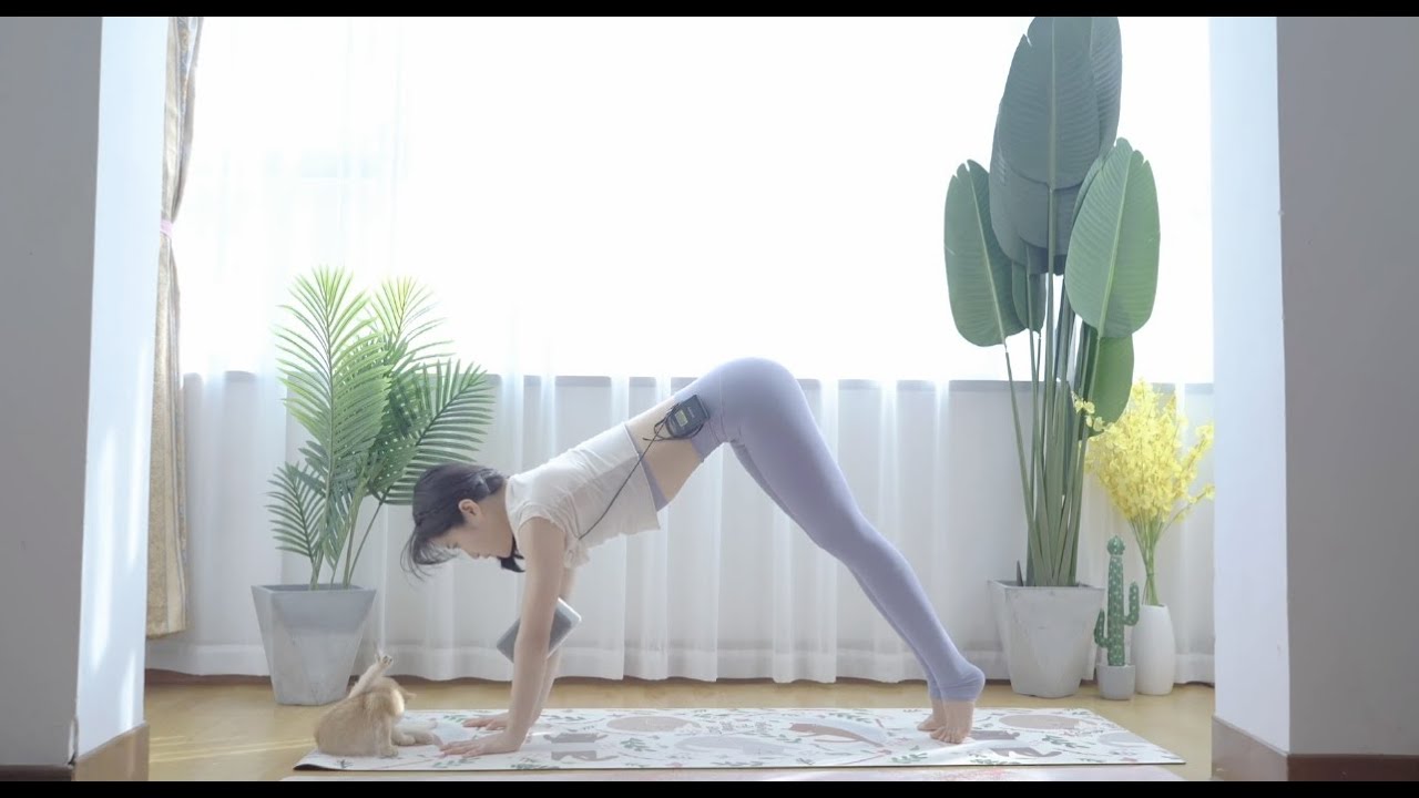 零基础解锁肘倒立之基础稳定/How  to do forearm stand 1