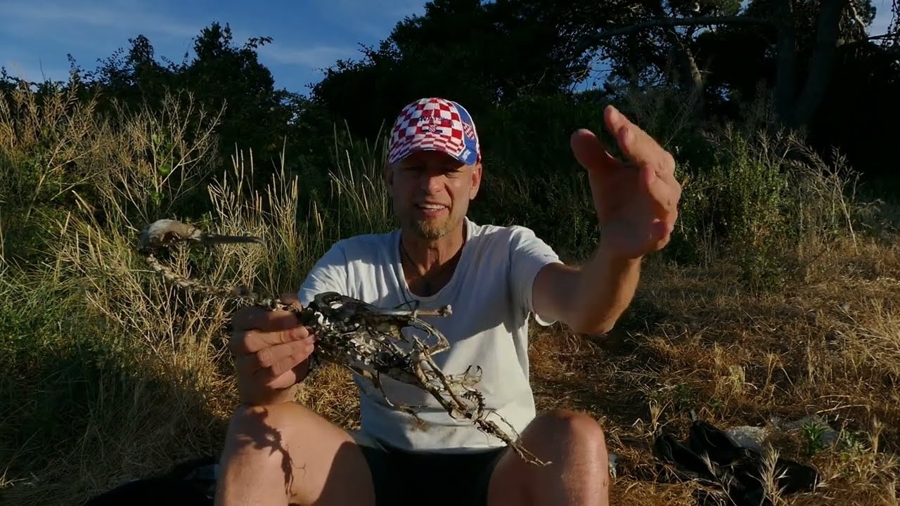 Mit dem Faltboot von Portorož nach Vrsar - Teil 6: Insel Lungo.
