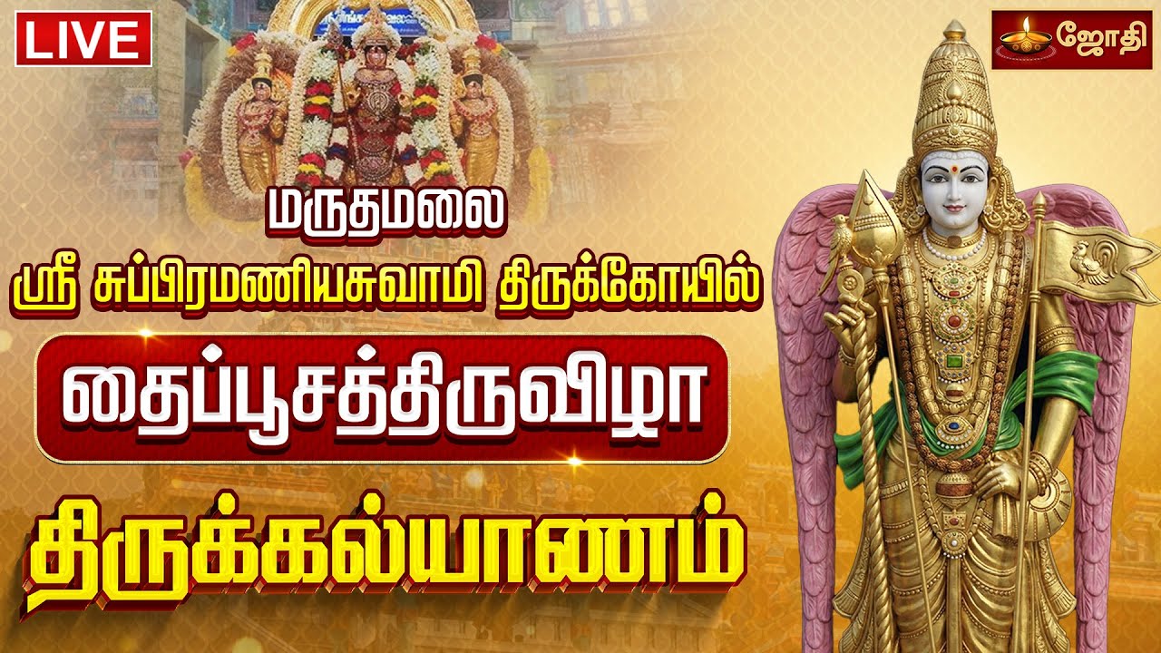 🔴LIVE: திருக்கல்யாணம் | மருதமலை அருள்மிகு சுப்ரமணிய சுவாமி கோவில் | தை பூசம் 2026
