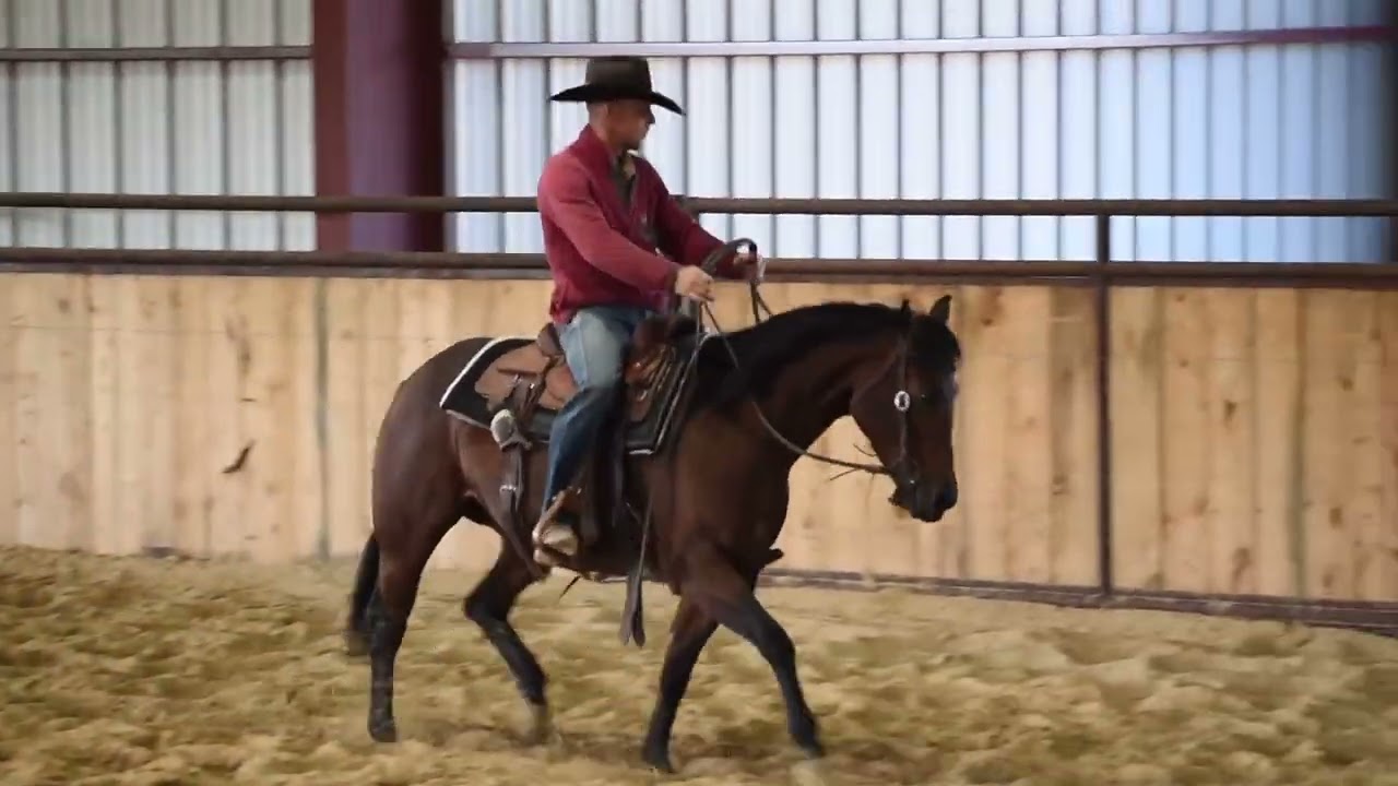 NITAS ROYALTY - NETX NOVEMBER 2024 SALE