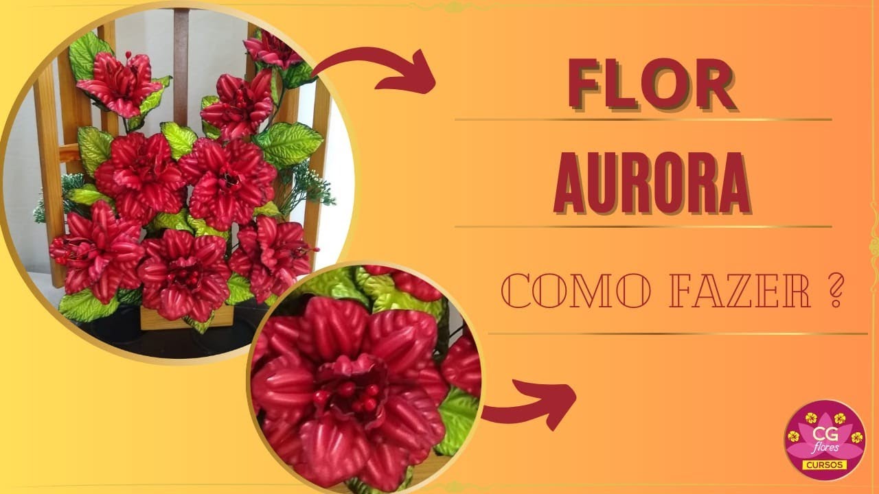 🔸FLOR AURORA🔸