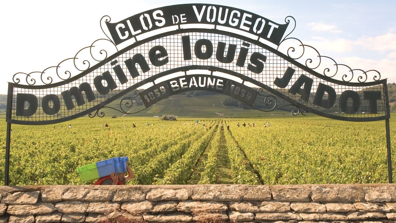 Olivier Masmondet - Maison Louis Jadot