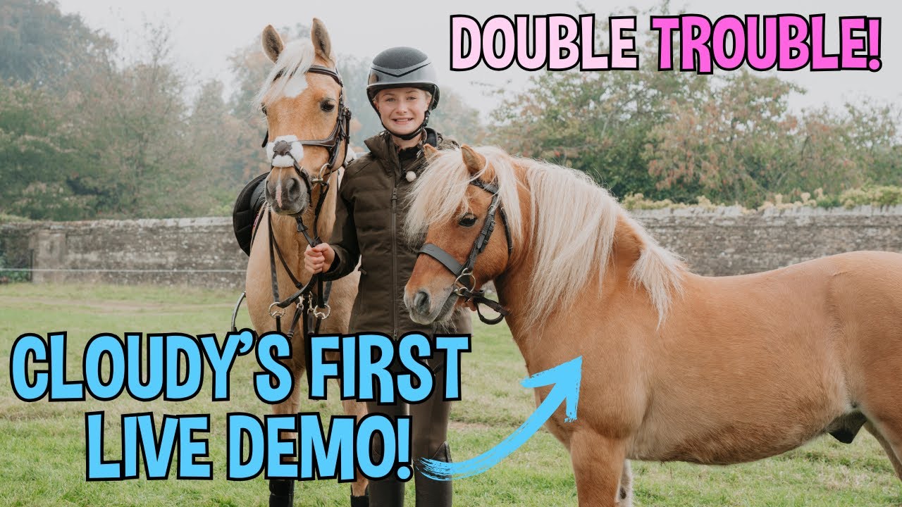 CLOUDY MAKES HIS FIRST LIVE APPEARANCE WITH POPCORN AT BLENHEIM PALACE HORSE TRIALS!