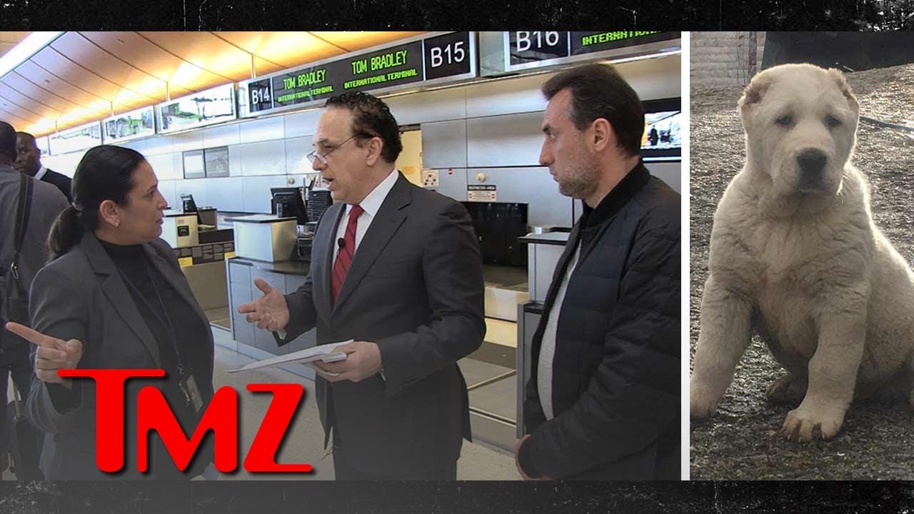 Family of Dead Dog Confronts Air France-KLM Official But Gets Stonewalled | TMZ