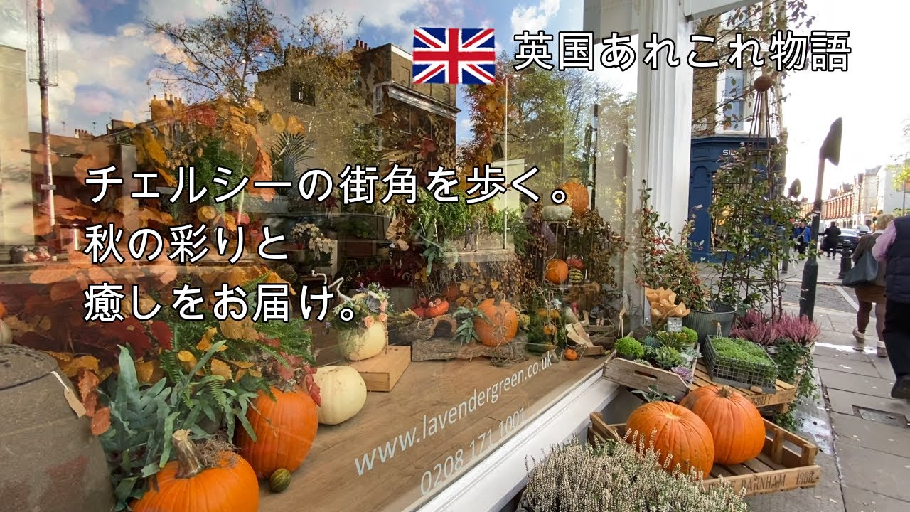 英国の美しい秋の色。素敵なガーデンセンターで癒される。高級住宅地チェルシーの街並み。ハロウィーンの言い伝えとは？