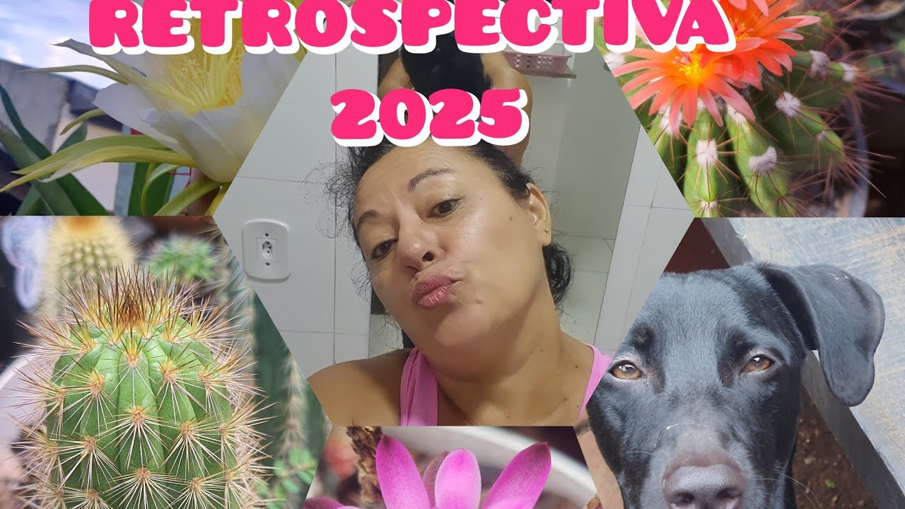 A Vez é dos Cactos: 
