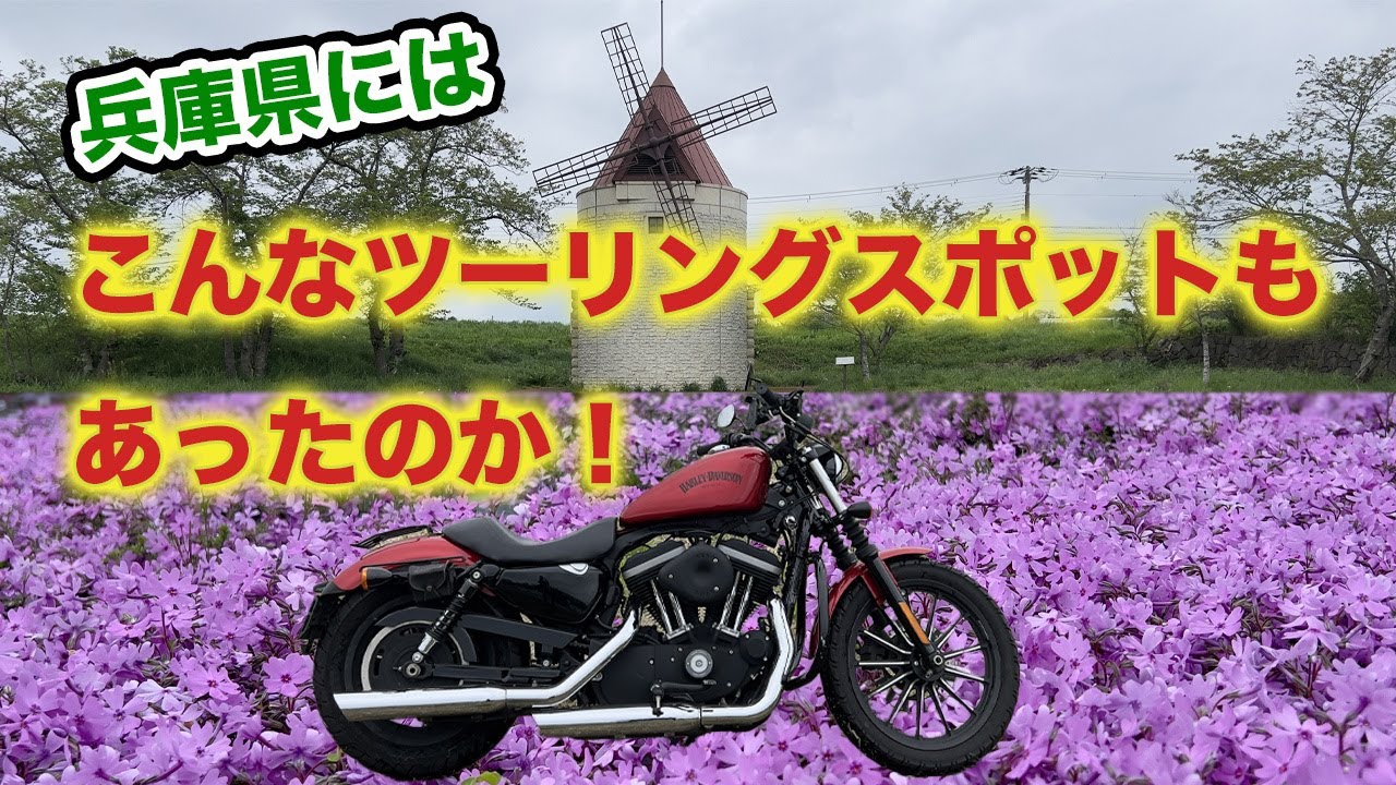 【ハーレー】兵庫県でレアなツーリングスポット巡り！【スポーツスター】