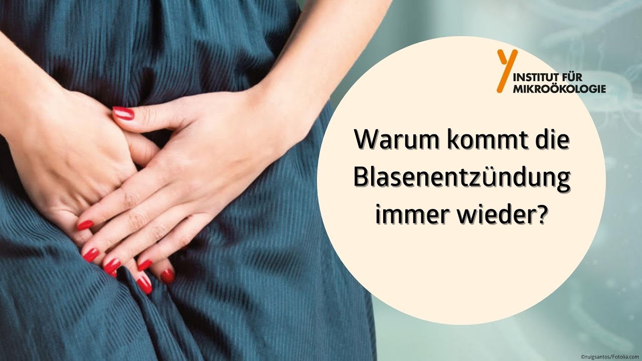 Warum kommt die Blasenentzündung immer wieder?