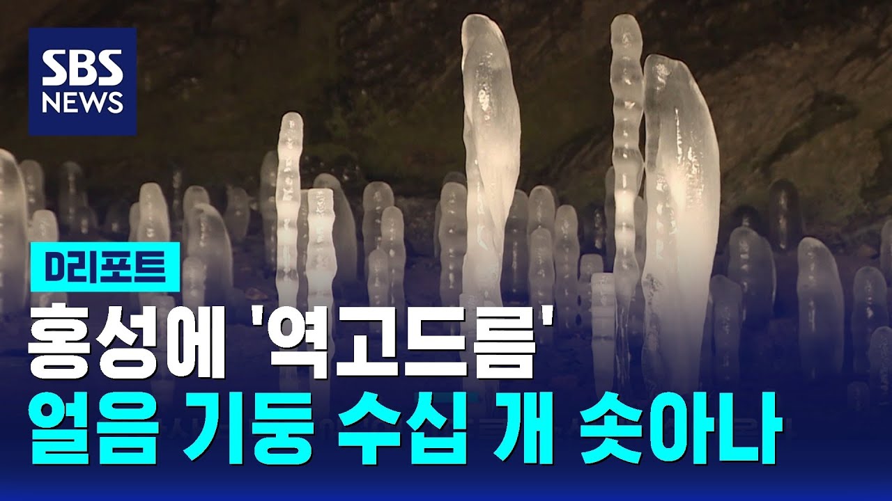 어린아이 키 만큼 솟아오른 '역고드름' / SBS / #D리포트