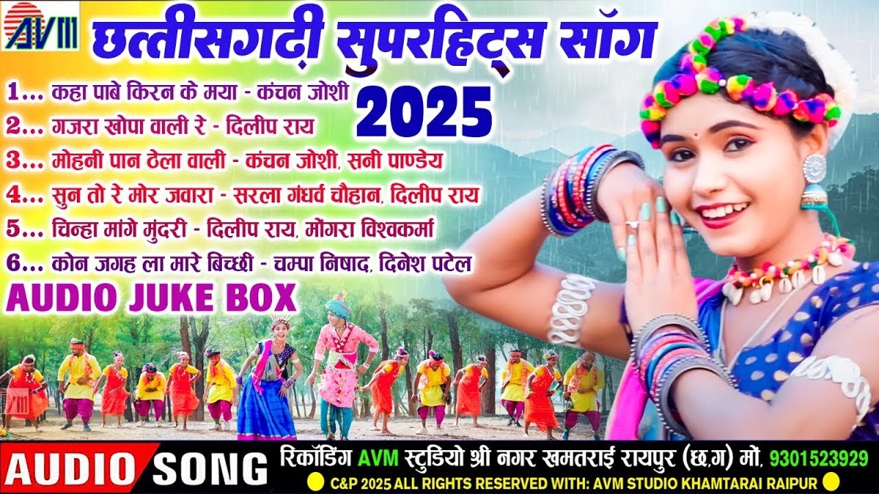 Chhattisgarhi Superhits Song 2025 | Audio Jukebox | Cg Song | CG Song Best Collection | AVM TADKA
