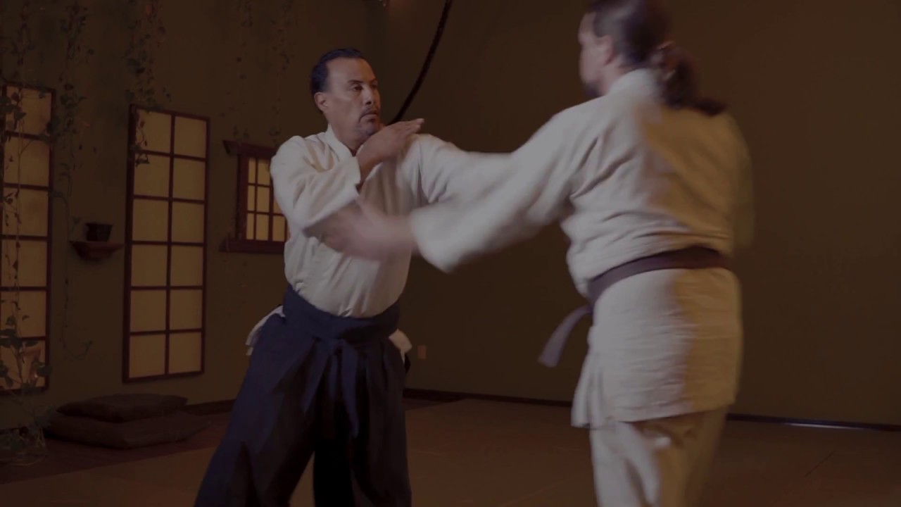 Tenshin Dojo 2018 Seminars