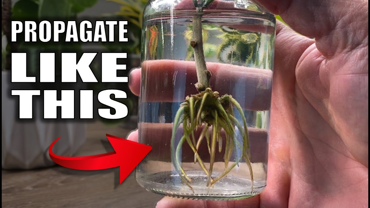 Propagation Guide in Water:  Only One You'll Ever Need