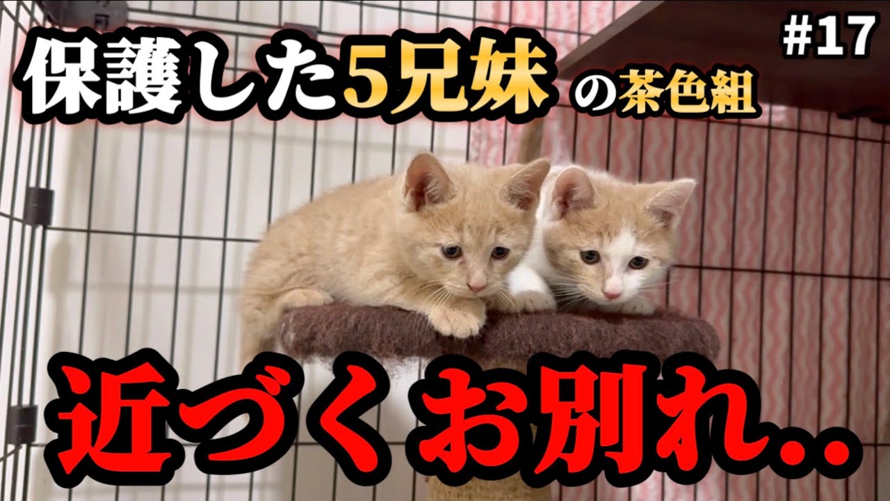 ご報告があります。