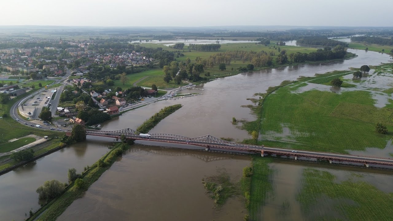 Odra w Ścinawie stan na 16.09.2024