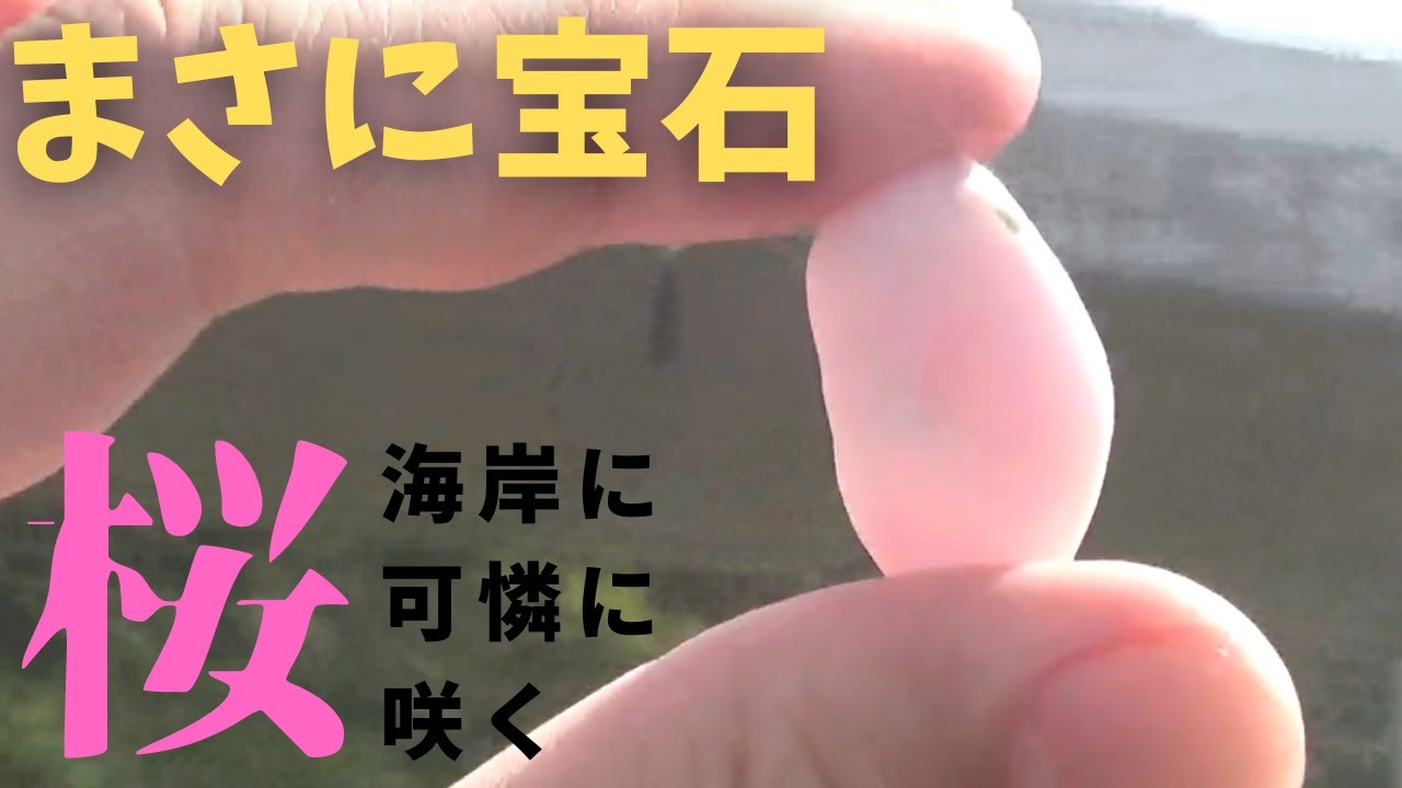 【翡翠採取】宝石級!!こんなに綺麗なピンクは見たこと無いよ...日本の国石翡翠の魅力(結晶)が詰まっています