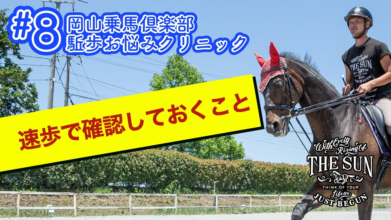 #8 速歩で確認しておきたい３つのポイント【乗馬上達 駈歩集中クリニック】 - 岡山乗馬倶楽部-