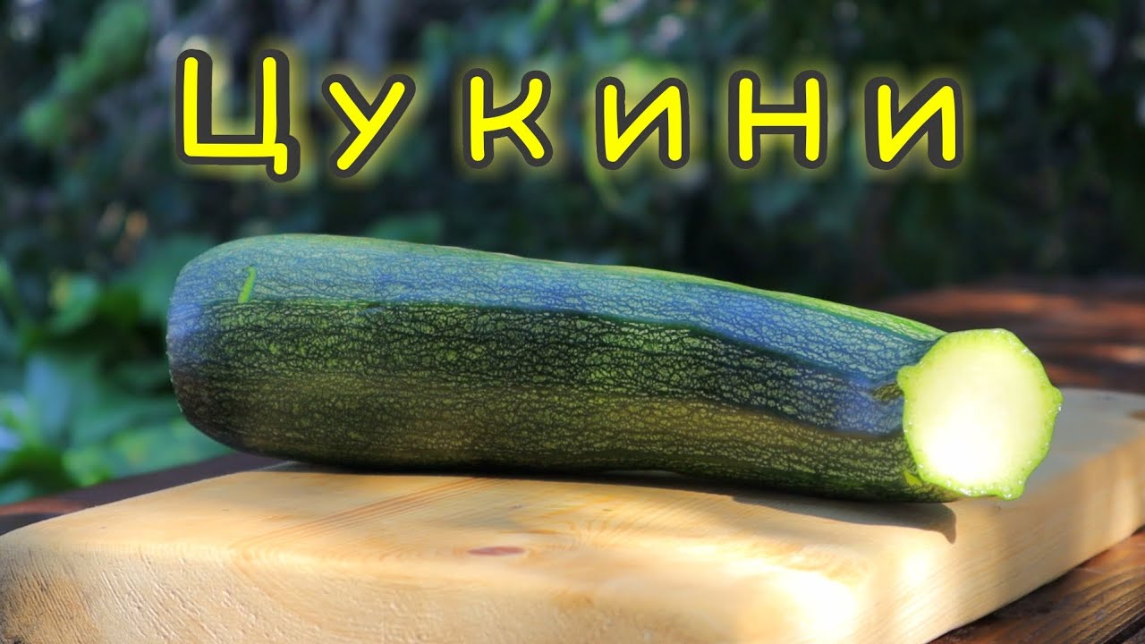 Всего 1 Цукини + 2 ингредиента для приготовления вкуснейшего ужина! ASMR Кулинария