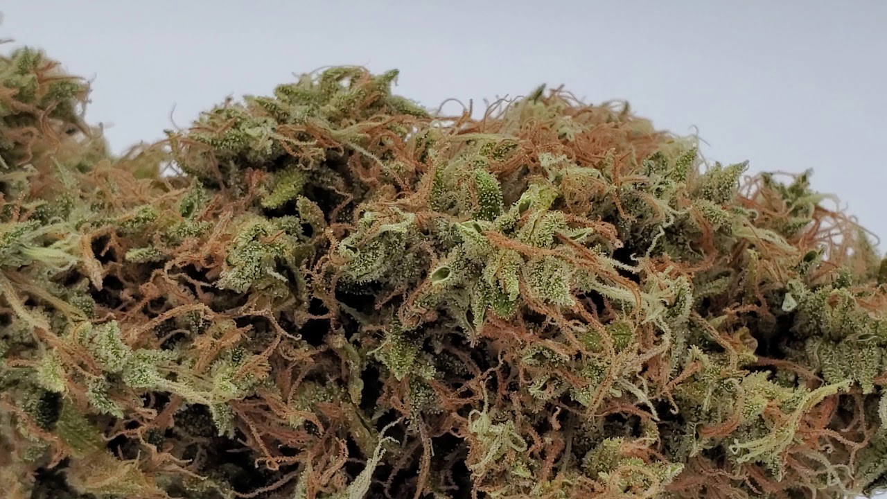 Marijuana Strain Preview- Green Crack- @thesilvah