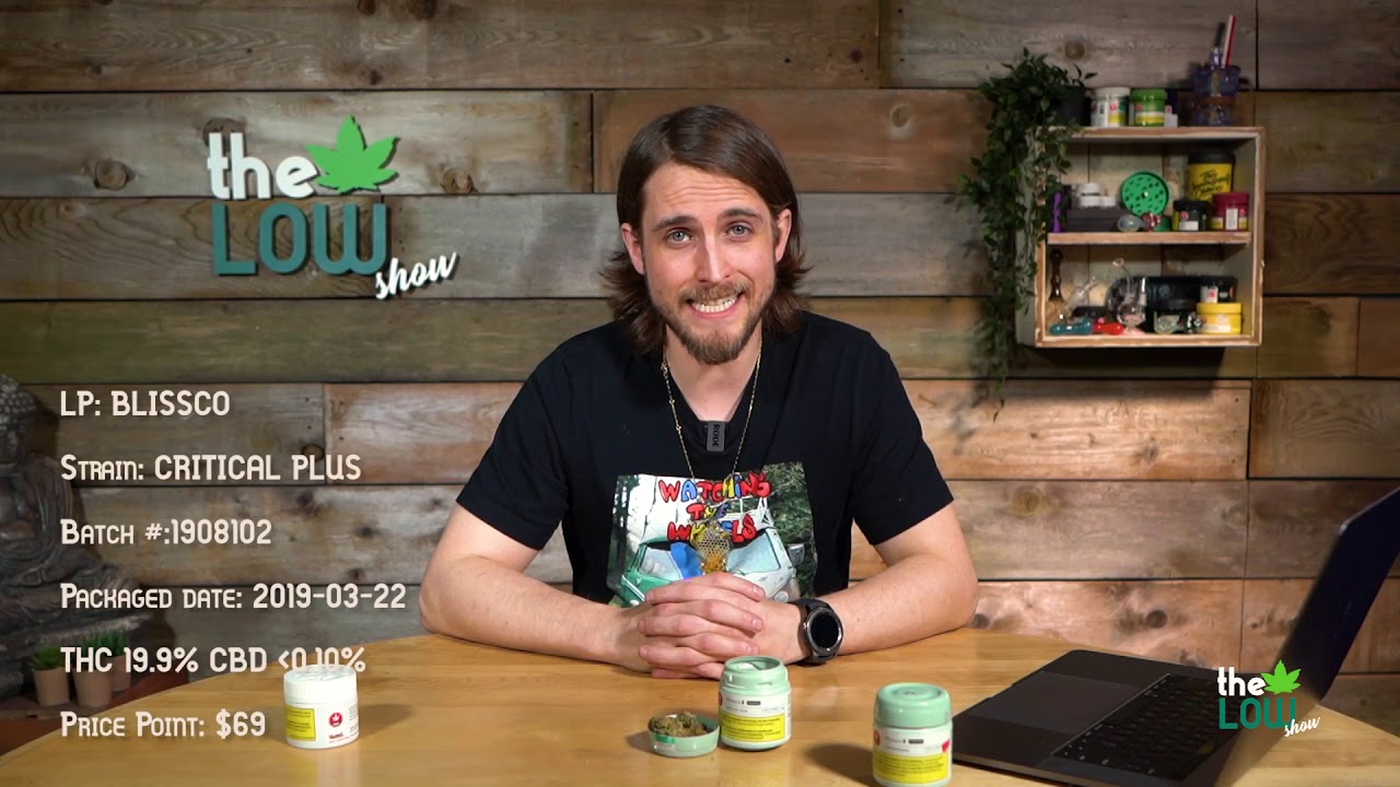 Blissco's Blueberry Cheesequake & Critical Plus, Vertical's Kent County Kush