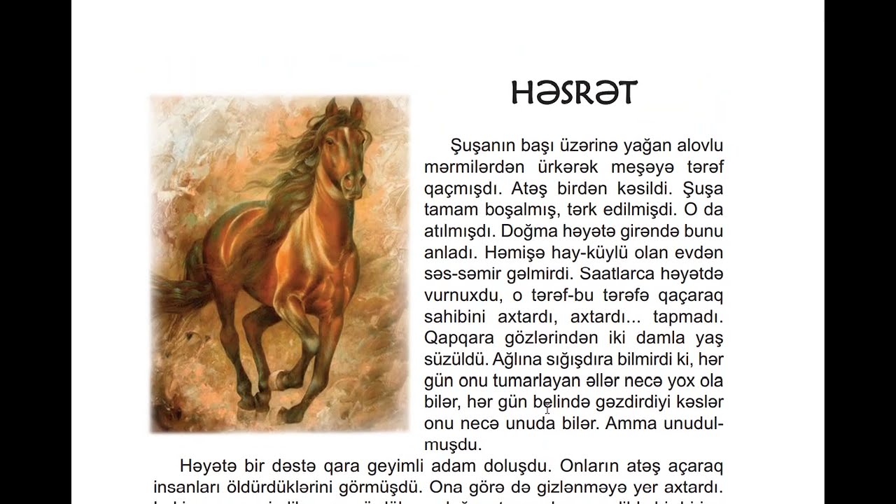 7-ci sinif Azərbaycan dili. 