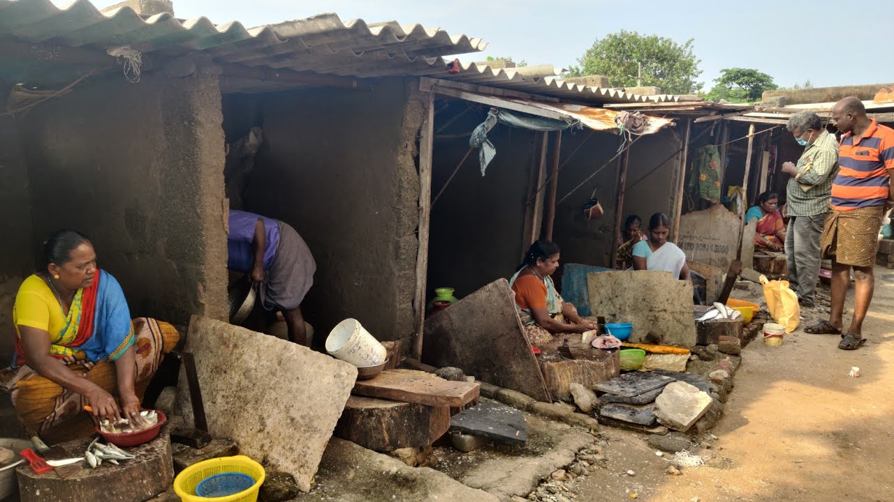 மீன் வெட்டும் தொழிலாளர்களின் ஒரு நாள் கூலி