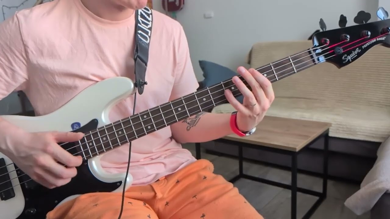 Red Hot Chili Peppers - Higher Ground Bass Cover