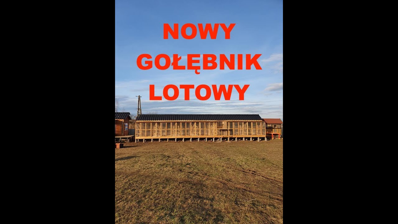Nowy gołębnik lotowy - Morel Team