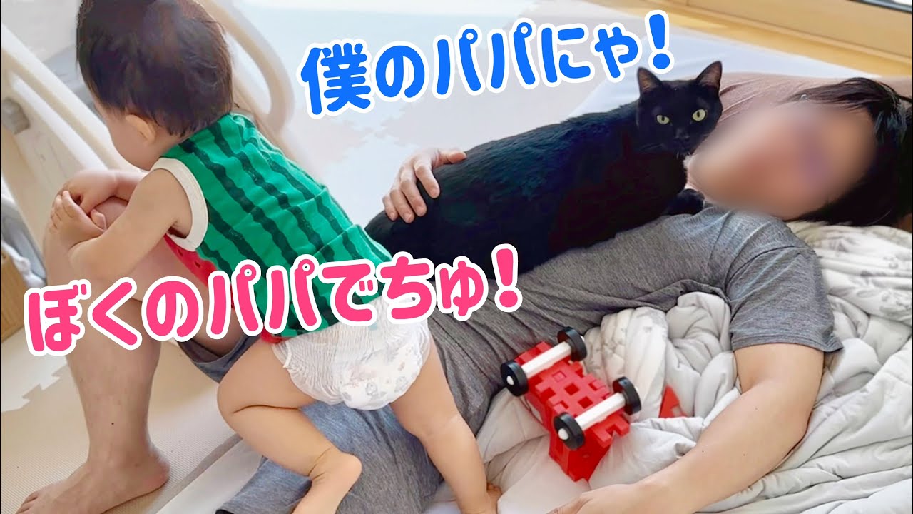 【真夏の任務】赤ちゃんと猫に大モテのパパ下僕化