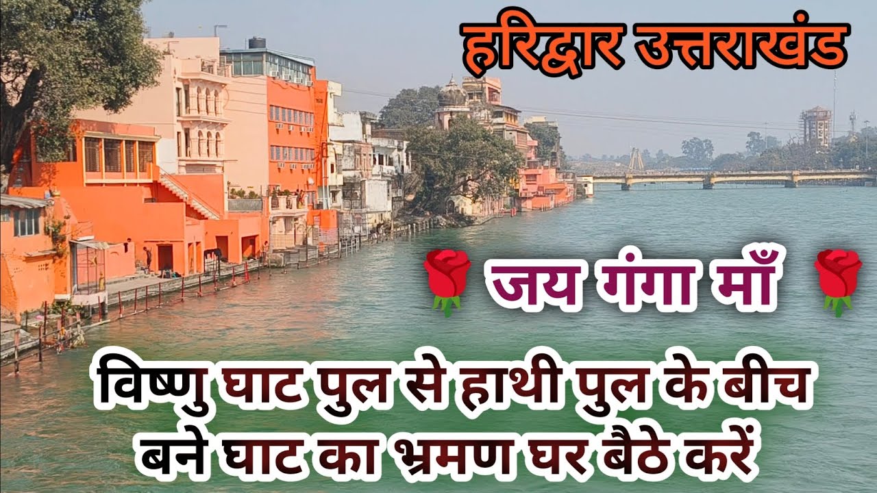 हरिद्वार गंगा घाटों की दिव्य छटा🚩विष्णु घाट से हाथी पुल तक घाट के दिव्य दर्शन घर बैठे करें 🌹देवभूमि 