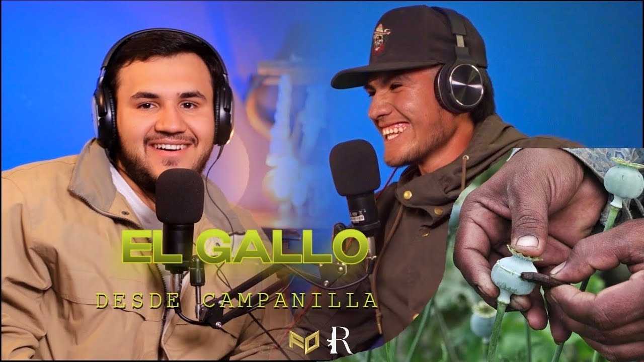 EL PROCESO Y RIESGOS DE LA AMAPOLA #21 EL GALLO