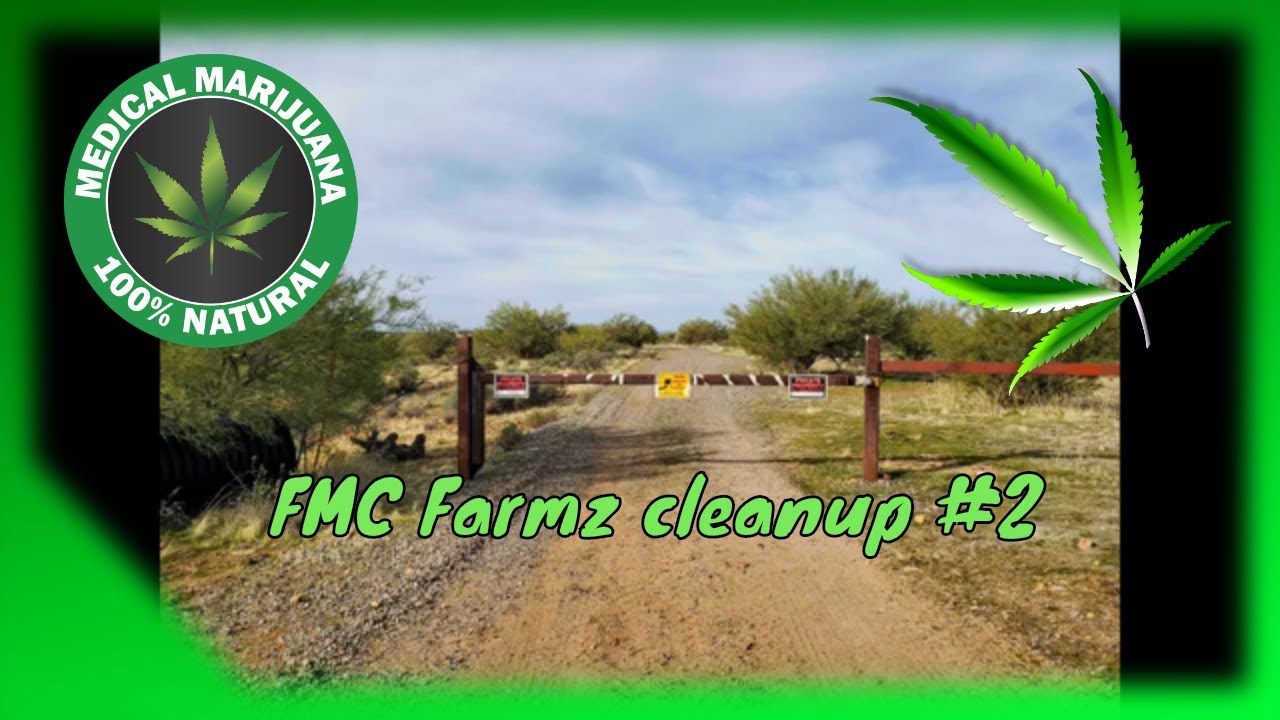 FMC Farmz #2 cleanup and walking property line #AZMMJ #Cannacommunity