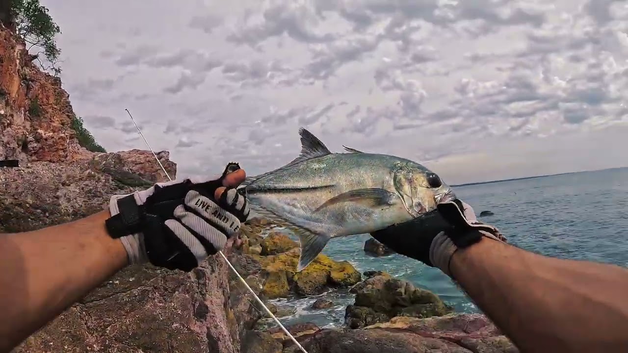 Pesca de orilla utilizando equipos ligeros OJONES,PARGOS,JÚRELES, CABRILLAS