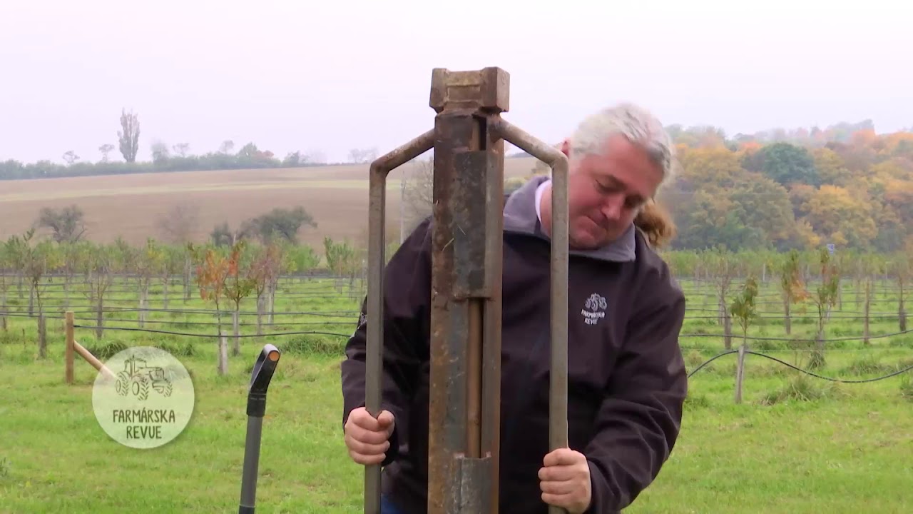 Obnova ovocných sadov