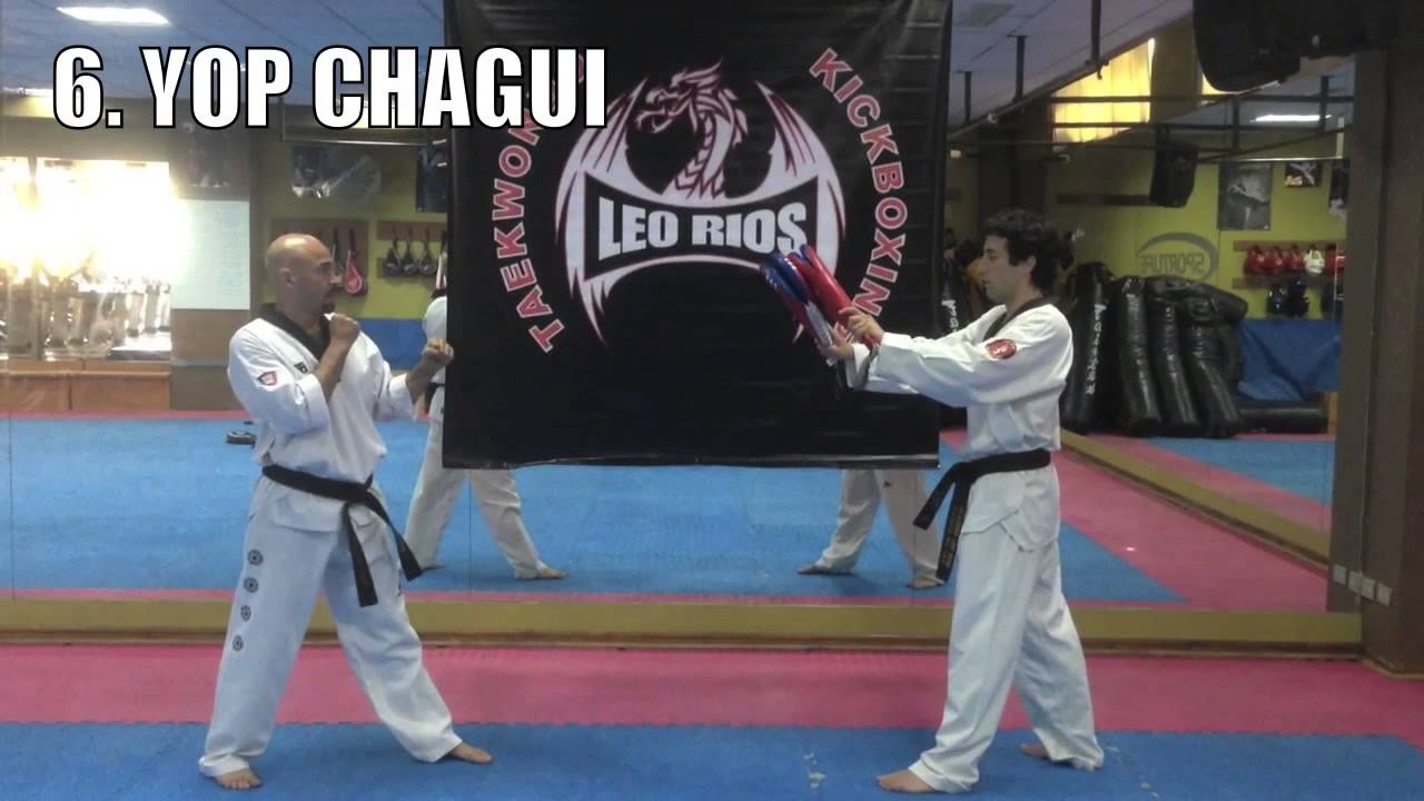 12 Patadas B&aacute;sicas Escuela Taekwondo Leo Rios