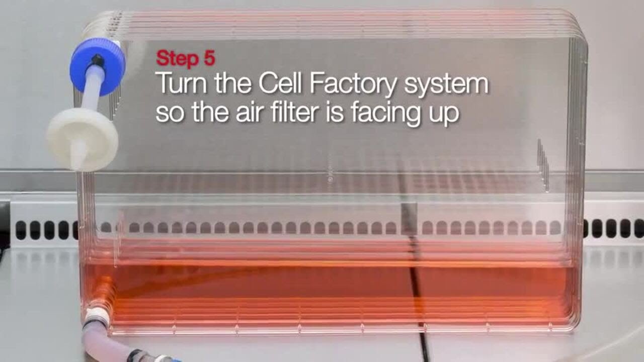Aseptic Cell Culture Scale Up Using Cell Factory System and BPC